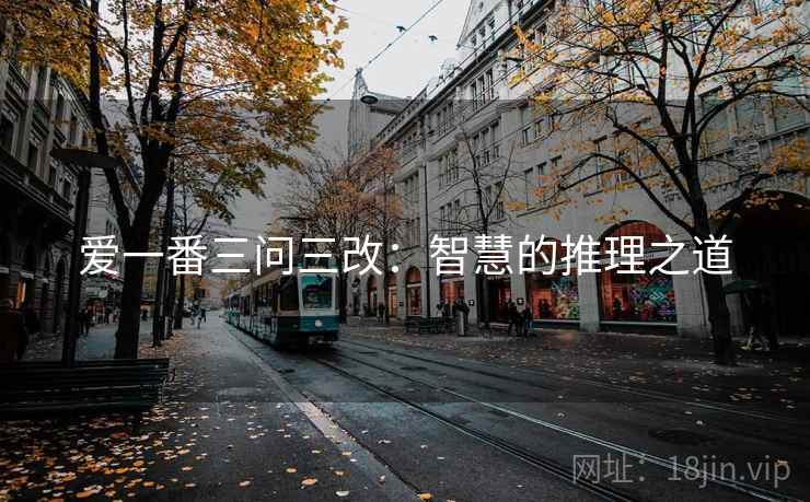 爱一番三问三改：智慧的推理之道
